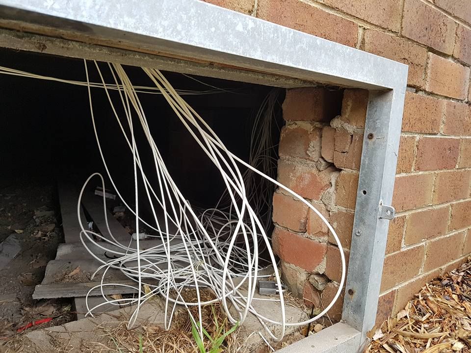 NBN1.jpg